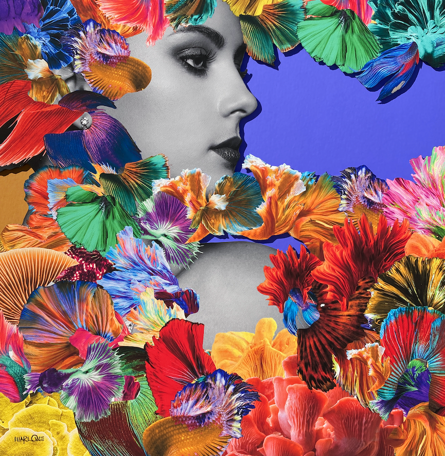 COLORTIQUE NO. 3 36”x36”